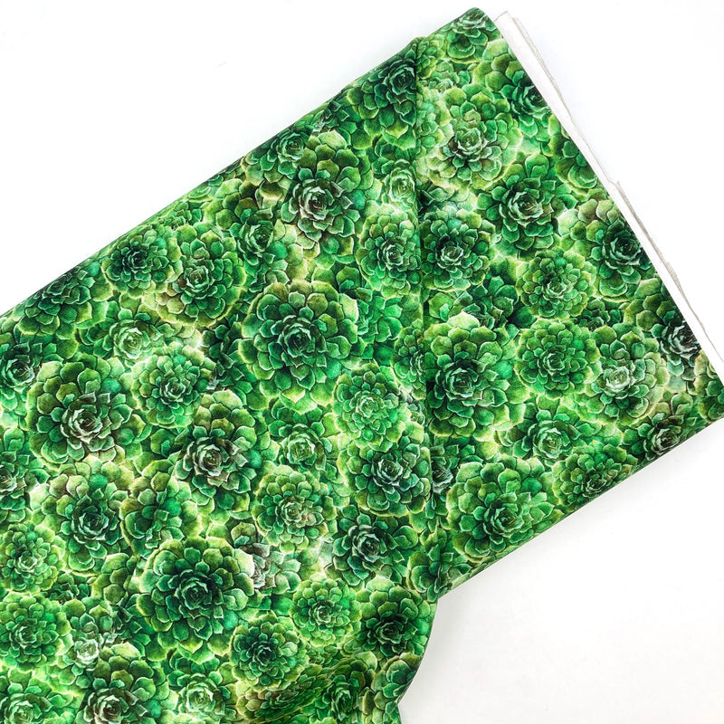 Succulents Green | QT Blossom | Quilting Cotton