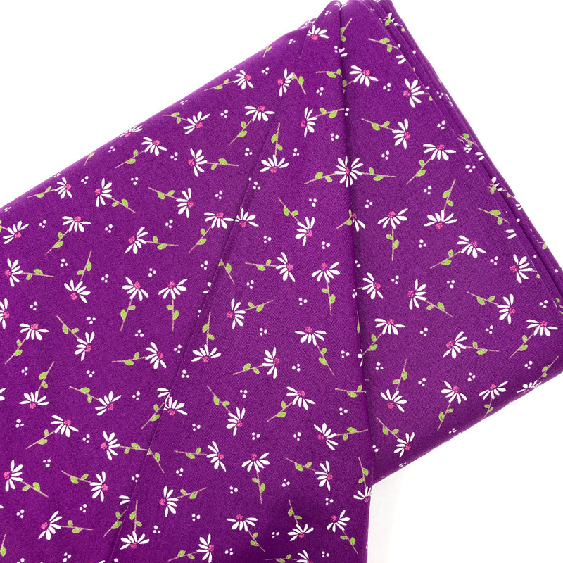 Daisies Purple | Sincerely Yours | Quilting Cotton