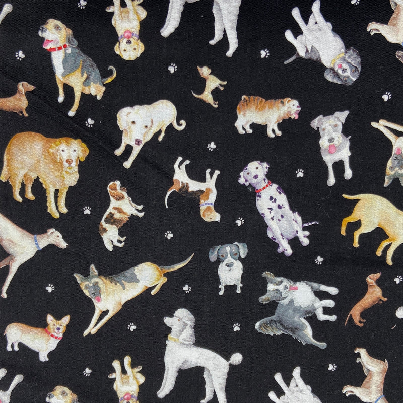 Faithful Friends Black | Think Pawsitive | Quilting Cotton