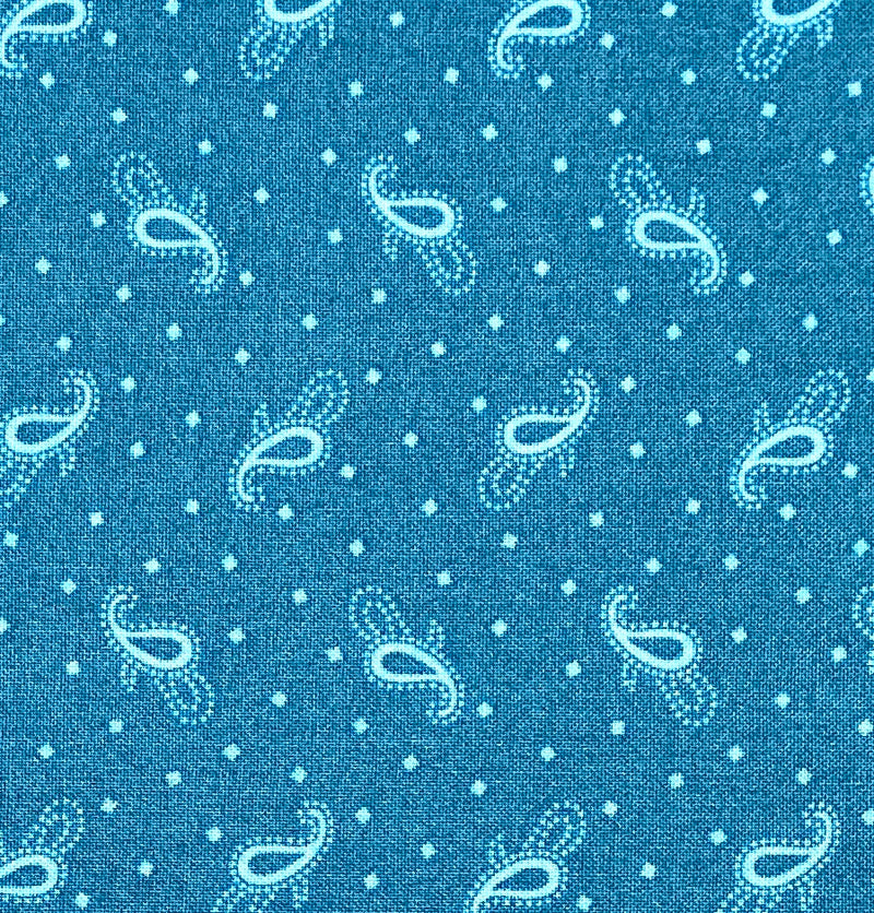 Light teal paisley and square polka dots on a dark teal background.