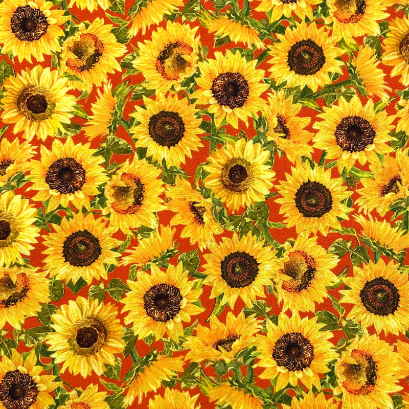 Sunflower Toss Orange | Fall Splendor | Quilting Cotton