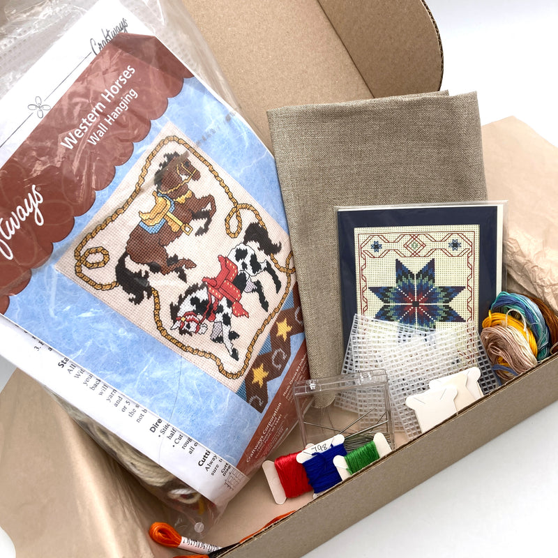 Rhinestone Cowboy Needlework | A Thrifty Challenge Box