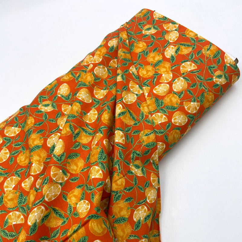 Tangerine | Citrus Garden | Quilting Cotton